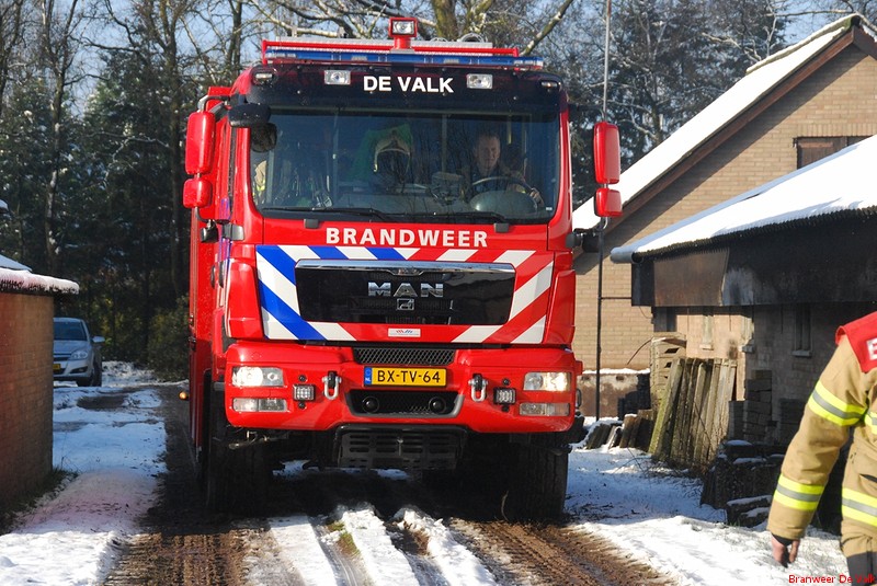 Varkens in de put.